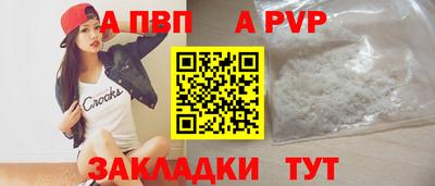 стаф Кингисепп