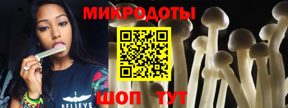 Галлюциногенные грибы Psilocybine cubensis  Галлюциногенные грибы прущие грибы  продажа наркотиков  Шатура  Вход с VPN 